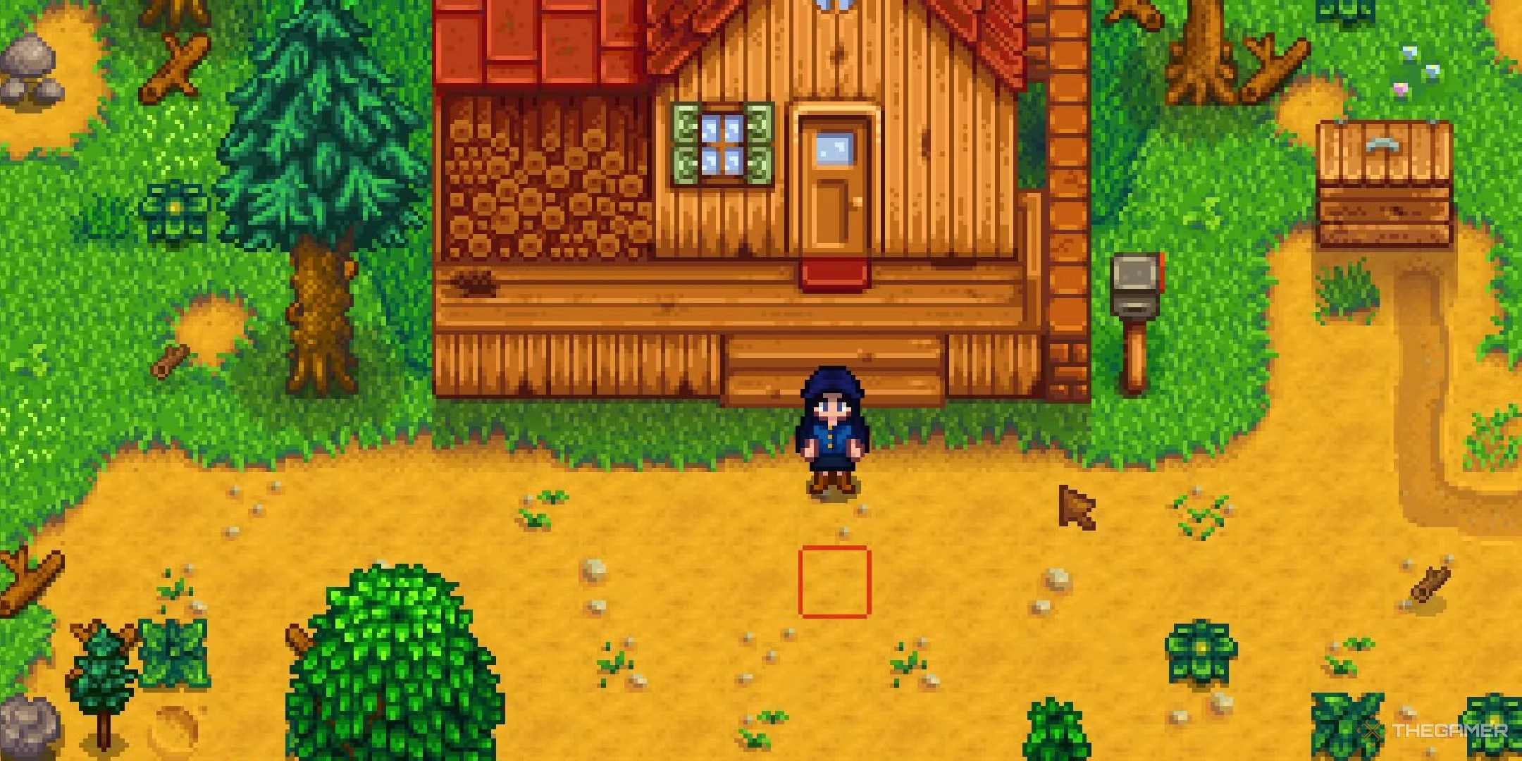 stardew valley. player standing on farm on the first day